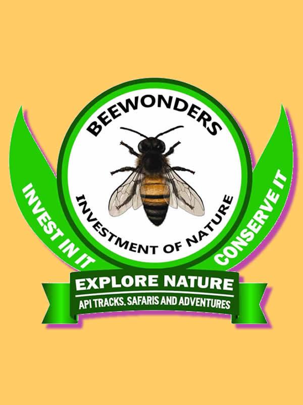 Beewonders Logo